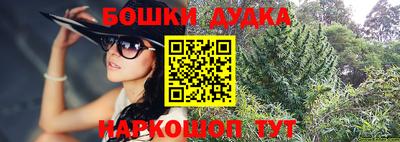apvp Нальчик