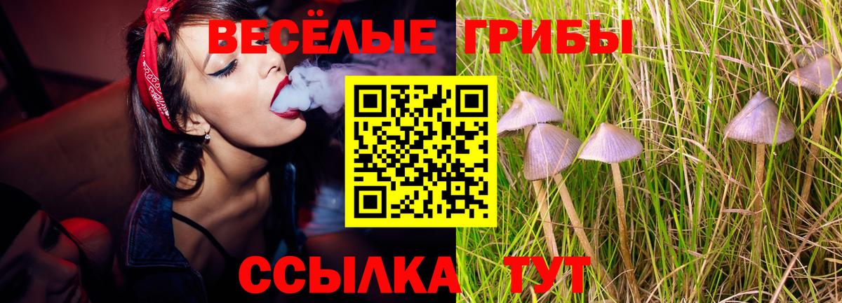 Галлюциногенные грибы Psilocybine cubensis Стрежевой
