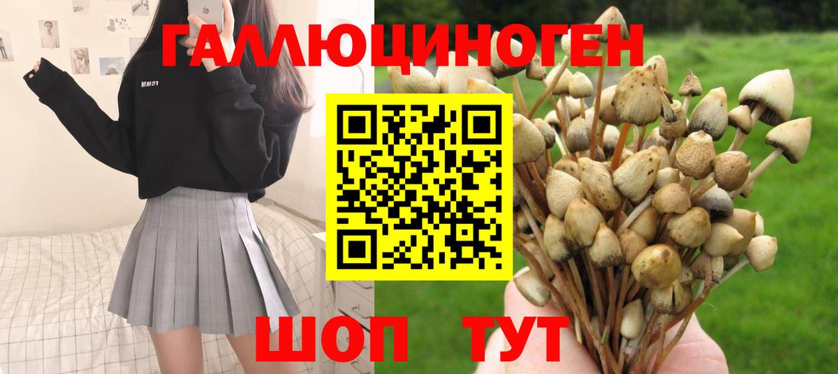 Галлюциногенные грибы Magic Shrooms  Вход с VPN  Стрежевой 